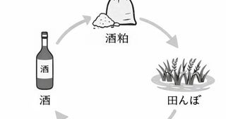 老舗酒蔵が挑む“循環型酒造り”の結晶酒粕を活用した純米大吟醸「廻」が誕生