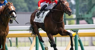 【競馬予想】日本ダービーを目前にしての「３歳牡馬ランキング」あのジンクスは破られるのか？