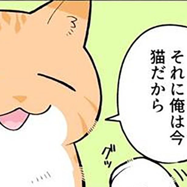 猫がブラック企業を変える!?モフモフパワー炸裂！ブラック企業の社畜が猫に転身して人生大逆転【作者インタビュー】