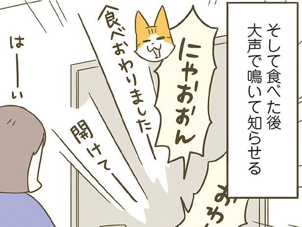 「ごはん食べ終わりました！」別室にいる飼い主に大声アピールする猫