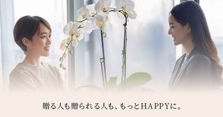 幸せをつなぐ胡蝶蘭専門サイトがオープン。お祝い事やお悔やみ・お供えに