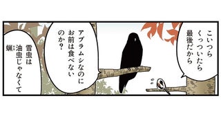 雪虫を食べずに襲われるがままのシマエナガ。食べない理由は一体？