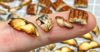 どんな魚を料理したの？あまりに小さな〝焼き魚4種〟にネット民驚がく「目がおかしくなったのかと」