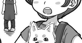【トラブル】愛犬を屋外で待たせたくない…だからって抱っこ紐で入店!?愛犬家の気持ちと店側のルールがぶつかるトラブル【作者に聞く】