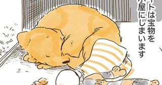 大好きなおばあちゃんも！犬小屋に宝物を集めるレトリバー