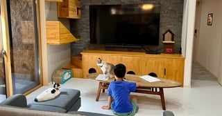 築60年空き家のセルフリノベ「猫と子ども天国の面白い家」がすごすぎてSNS大バズり！ 人間6人・猫4匹と扇風機60台の日常なみそさん