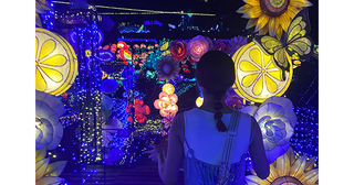 東京から約2時間！“夏イルミ”が楽しめる「伊豆ぐらんぱる公園」は夏休み旅行にもおすすめだよ