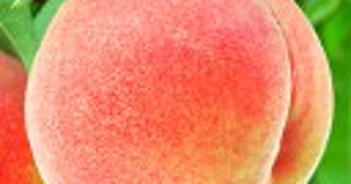 ＜過保護？＞中学生の子どもが入院。親が付き添うのはやりすぎ？病院が許可しているならOK？
