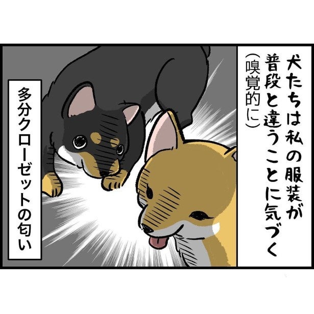愛犬のお世話にロングスカートは「絶対NG」？→子犬の“ファッションチェック”のまさかの代償【作者に聞く】