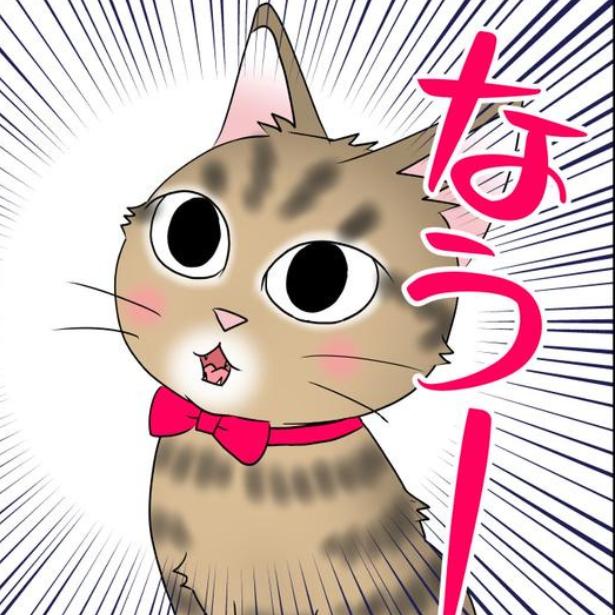 【ネコ漫画】「うちの子はイケメン！」保護猫に一目惚れして同居。腕枕で眠る姿も愛おしい…毎日が宝物になる猫との暮らし【作者に聞く】