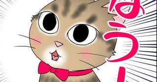 【ネコ漫画】「うちの子はイケメン！」保護猫に一目惚れして同居。腕枕で眠る姿も愛おしい…毎日が宝物になる猫との暮らし【作者に聞く】
