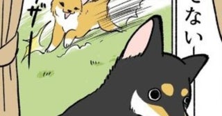 「さんぽ」の一言に逃げる犬！犬にもアウトドア派とインドア派がいた！正反対な柴犬兄妹の日常がたまらなく愛おしい【作者に聞く】