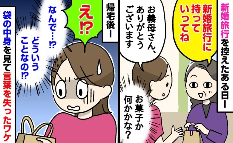 義母「新婚旅行に持って行ってね」手渡された小さな紙袋→お菓子かと思いきや…帰宅後、中身に絶句！
