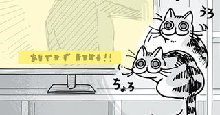 映画を見ていると邪魔してくるネコ。字幕が見えないけど愛らしすぎる