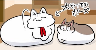 「次やって」。尽くすことが生きがいの母性全開猫はお返しを待つけれど
