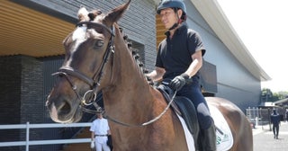 暑い日だって、関係無し！馬の魅力を堪能する夏のウマ活アイデア5選
