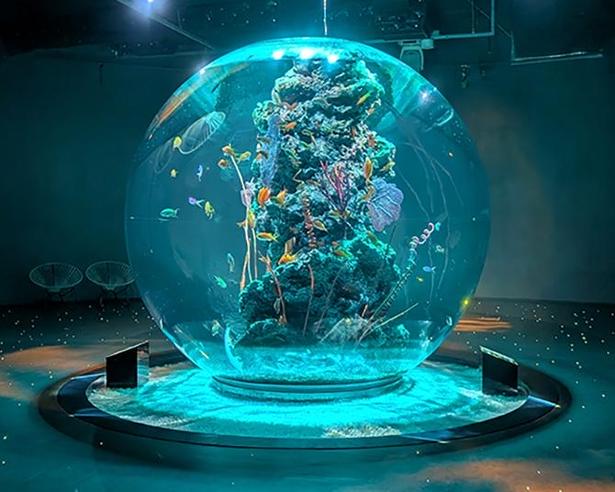神戸の水族館「アトア」が劇場型アクアリウムとして進化！アートと生きものが融合する映え空間に