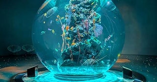 神戸の水族館「アトア」が劇場型アクアリウムとして進化！アートと生きものが融合する映え空間に