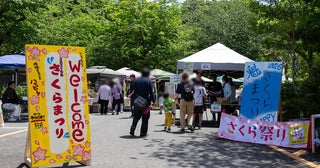 【大阪府交野市】地域で活躍する人・団体・店が集い、次世代とのつながりを築く「さくら祭り」開催