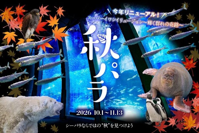 イワシ5万尾の大群泳から花火、XRまで横浜・八景島シーパラダイスで「秋パラ！」開催