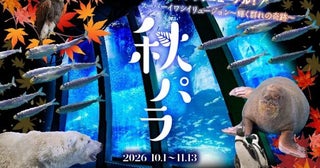 イワシ5万尾の大群泳から花火、XRまで横浜・八景島シーパラダイスで「秋パラ！」開催