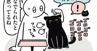 なでられてうれしい〜！何事もポジティブにとらえる黒猫ろん