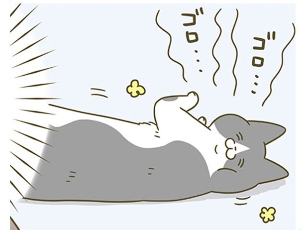 「今日もかわいいな」猫に思う飼い主。喜ぶ姿を見て、提唱する「ある説」