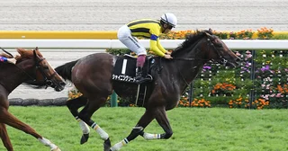 【競馬予想】日経新春杯は伸び盛りの明け４歳馬が有力も、遅咲きの良血馬にも要注意！