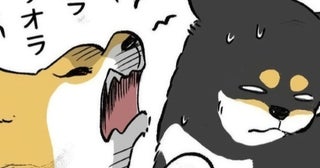 柴犬兄妹の「やべー顔が想像以上だ！」「怖すぎる…」もはやコメント欄も混乱してカオス状態に【作者に聞く】