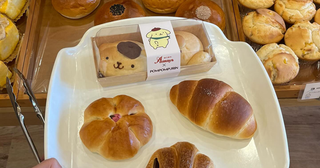 石川旅行でチェック！サンリオ公認「ポムポムプリン」パンが食べられるお店知ってる？“おしり”セットも注目だよ