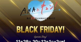 ANAグループ、「ANAにキュン！ BLACK FRIDAY！」を開催