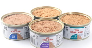 軽くとろける食感の猫用フード体重・年齢で選べる4種類発売
