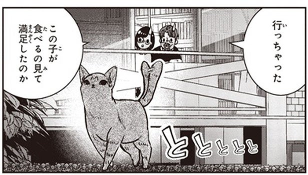 自分はエサを食べず見守るだけ。傷だらけの子猫を連れてきてくれる地域猫／スローステップ朔太郎 上（6）