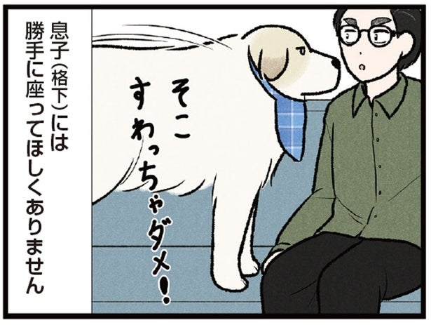 「格下」には座らせない！ ソファを縄張りにする大型犬が超厳しい