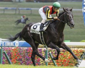 ＜大阪杯＞ダービー馬は「春に崩れる」？クロワデュノール＆ダノンデサイルに黄信号…代わって浮上する“爆穴候補”は