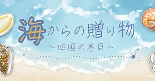 四国の巻貝の魅力に触れる貝の光沢や模様を楽しむ