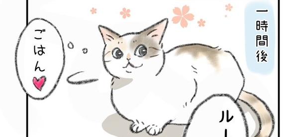 とある朝の飼い猫さん…キャリーケースで“病院行き”を悟った悲痛な姿に「罪悪感が芽生える」と共感【漫画】