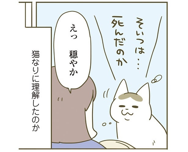 「えっ穏やか」飼い主が驚くほどの平静さ。お気に入りのおもちゃが壊れた猫の反応は