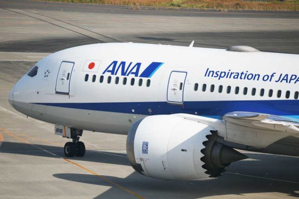 ANA、国内線でタイムセール実施8月〜10月搭乗分