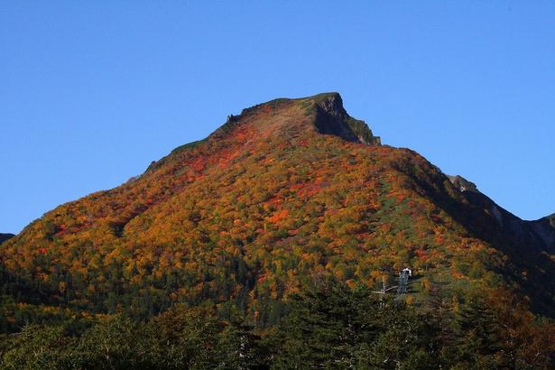 今週末(9月26・27日)の紅葉見頃はここ！まもなく見頃を迎えそうな全国の紅葉名所ガイド