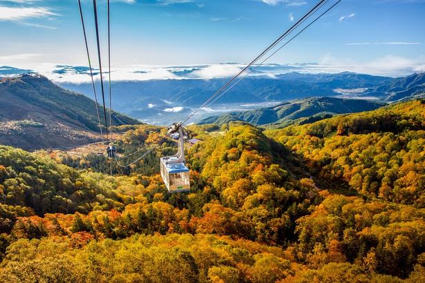 今週末(10月3・4日)の紅葉見頃はここ！まもなく見頃を迎えそうな全国の紅葉名所ガイド