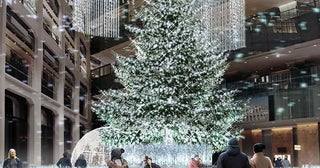 白銀の世界にトリップ!?丸の内「KITTE」でイマーシブなイルミデート＆おしゃれビストロで“幻の和牛”を味わう美食ディナー