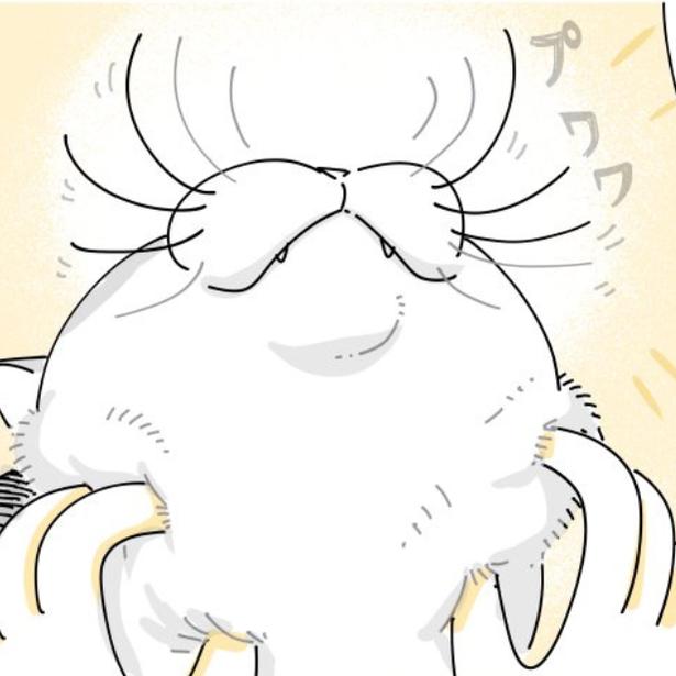 【ネコ漫画】飼い主に撫でられてヒゲ全開で喜ぶ愛猫!?その瞬間がたまらなく好きな飼い主