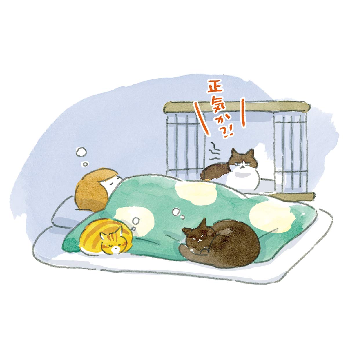 人に対して警戒心の強い保護猫。譲渡会で素敵な家族と出会うも…？／拾われた猫たちが教えてくれたこと（4）