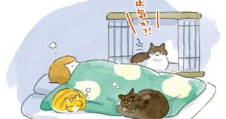 人に対して警戒心の強い保護猫。譲渡会で素敵な家族と出会うも…？／拾われた猫たちが教えてくれたこと（4）