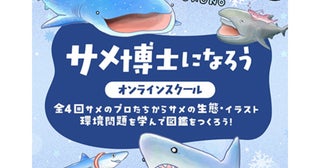 サメのプロたちからサメの生態を学ぶ！「おさかなオンラインスクール」開講