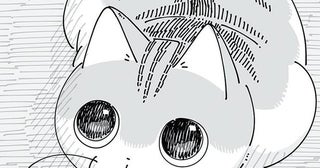 目が泳ぎまくってますね。イタズラをした自覚のあるネコの上目遣い