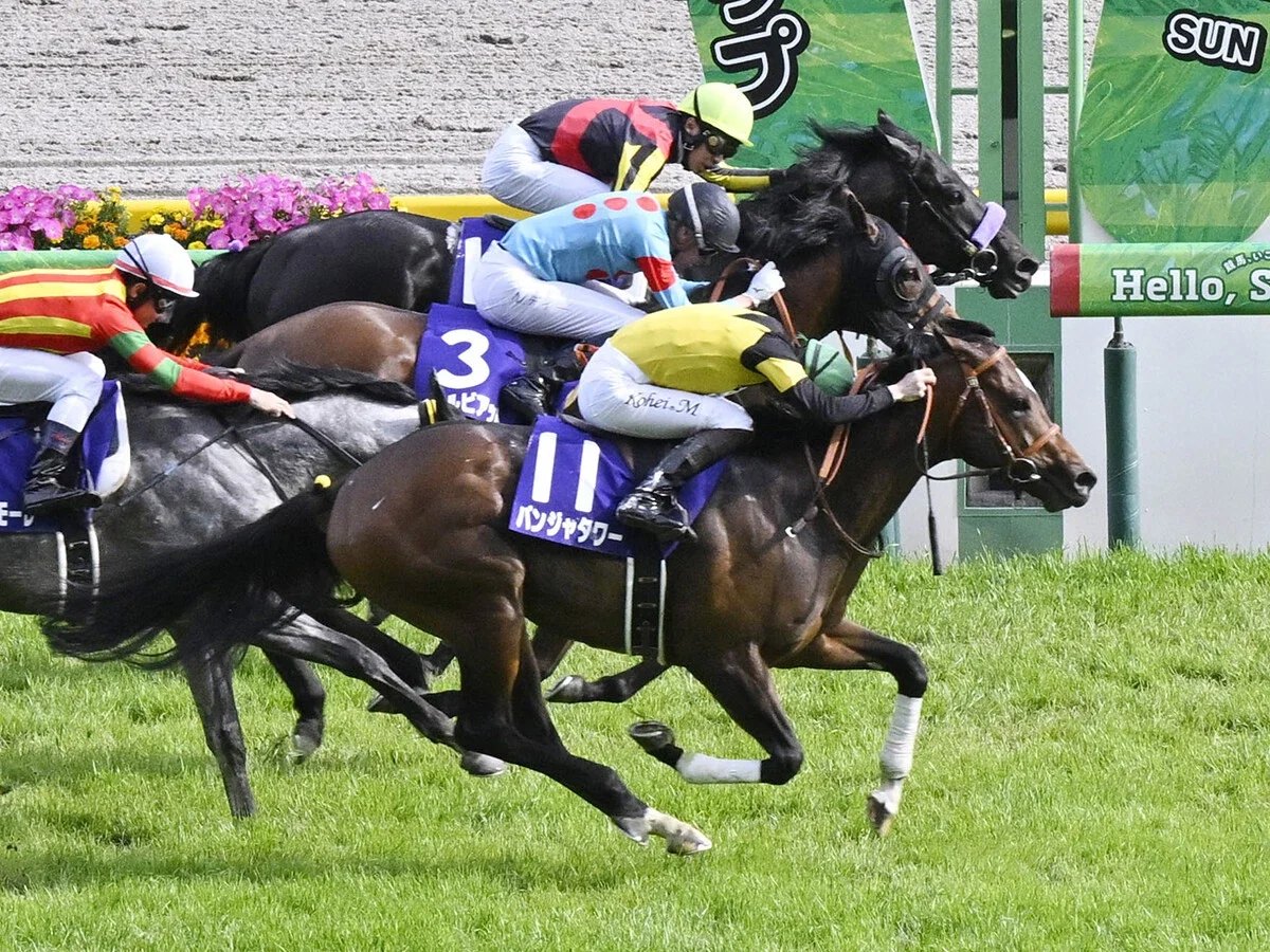 【競馬予想】高松宮記念ではスプリント路線の世代交代が一気に進む!?サトノレーヴ、ナムラクレアら既成勢力を脅かすのは？