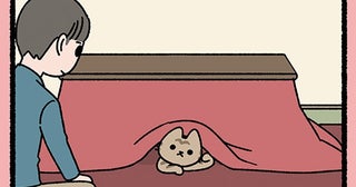 【恩返しするねこ】独り占めしたかっただけかも。猫にコタツを占拠されました