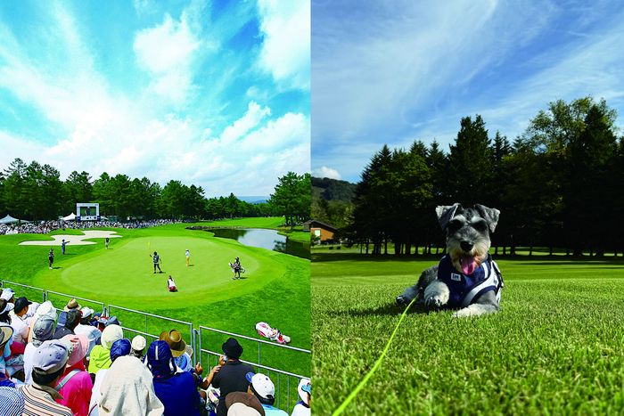 ツアーコースで本気プレー!? 愛犬と楽しむ!? 軽井沢ゴルフならどっちも叶う